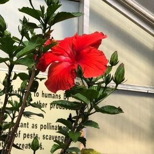 Meet your Posher, Anne